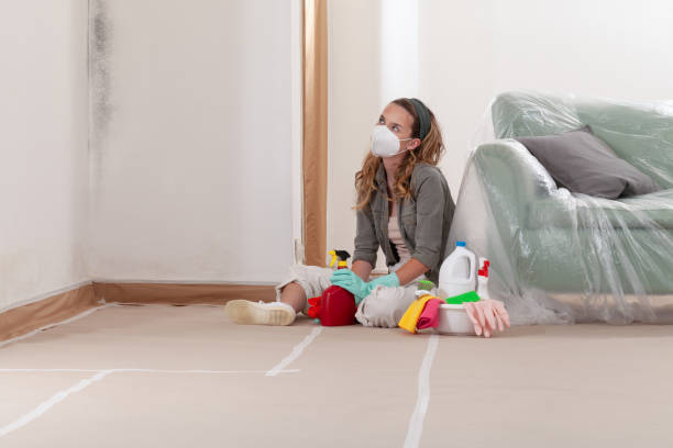 Reliable Mold Remediation contractor in Augusta, MI by Cheap Mold Removal